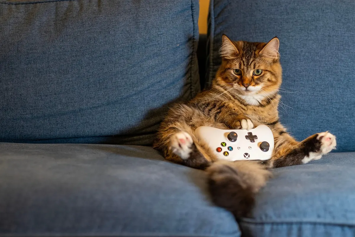 Rest vs Relaxation: What's the Difference and Why It Matters